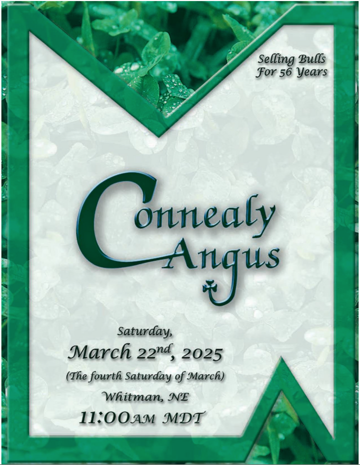 Connealy Angus
